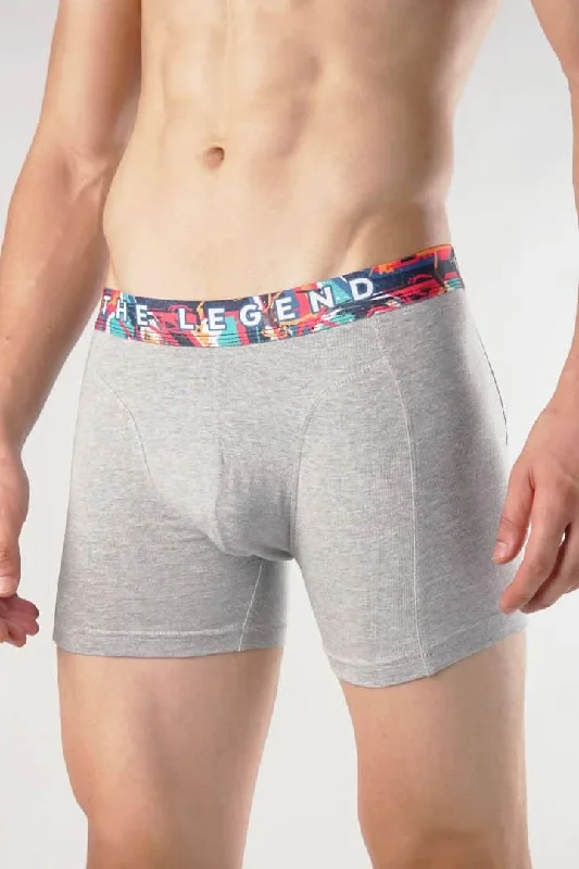 The Legend Boxer Brief