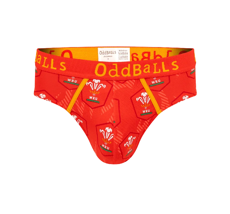 Welsh Rugby Union Flames - Mens Briefs